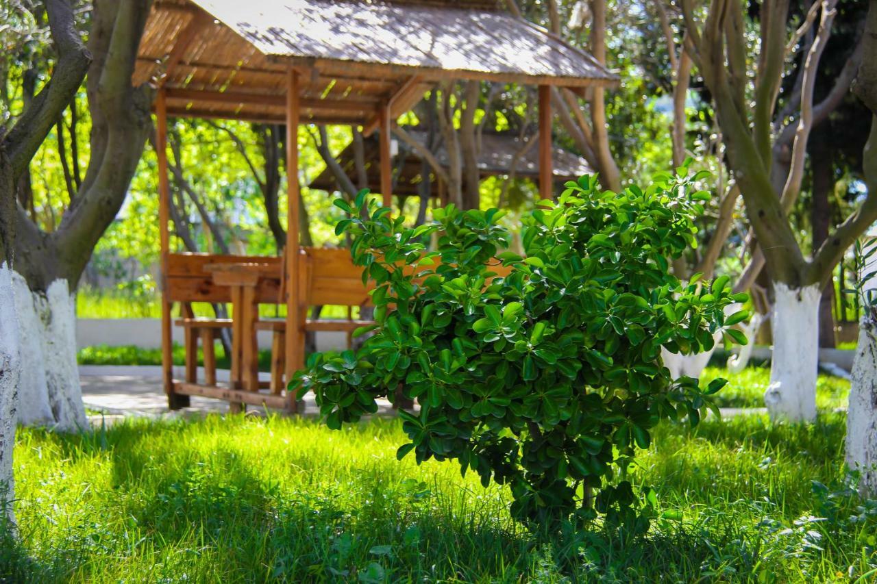 Mavi Dalga Beach Hotel Lokbatan Ngoại thất bức ảnh